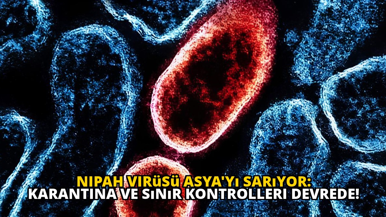 Nipah Virüsü Asya'yı Sarıyor: Karantina ve Sınır Kontrolleri Devrede!