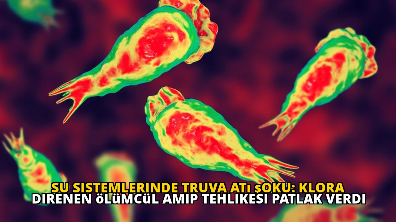 Su sistemlerinde Truva Atı şoku: Klora direnen ölümcül amip tehlikesi patlak verdi