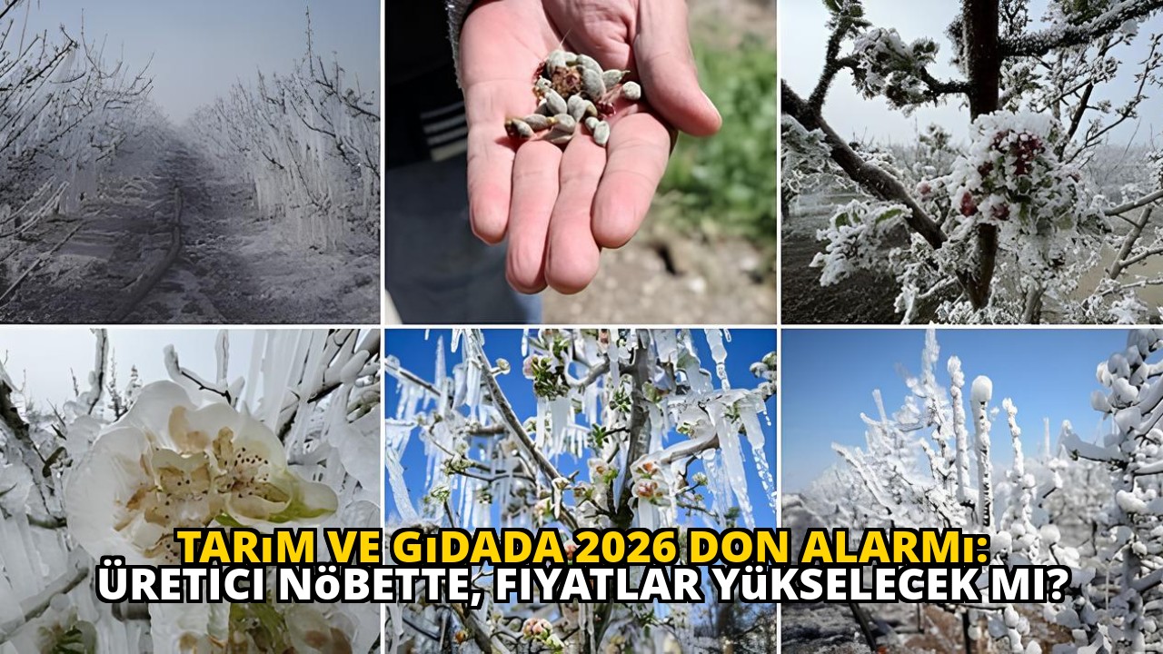 Tarım ve Gıdada 2026 Don Alarmı: Üretici Nöbette, Fiyatlar Yükselecek Mi?