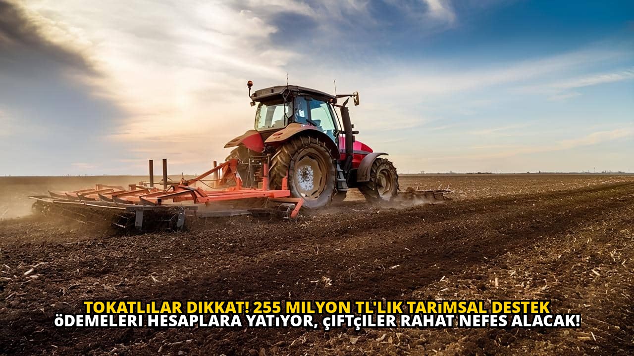 Tokatlılar dikkat! 255 milyon TL'lik tarımsal destek ödemeleri hesaplara yatıyor, çiftçiler rahat nefes alacak!