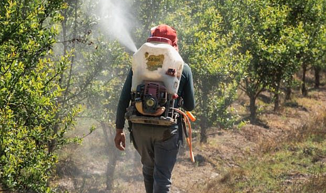 Fumigasyon Nedir? Tarımda ve Depolarda Fumigasyon Nasıl Yapılır?
