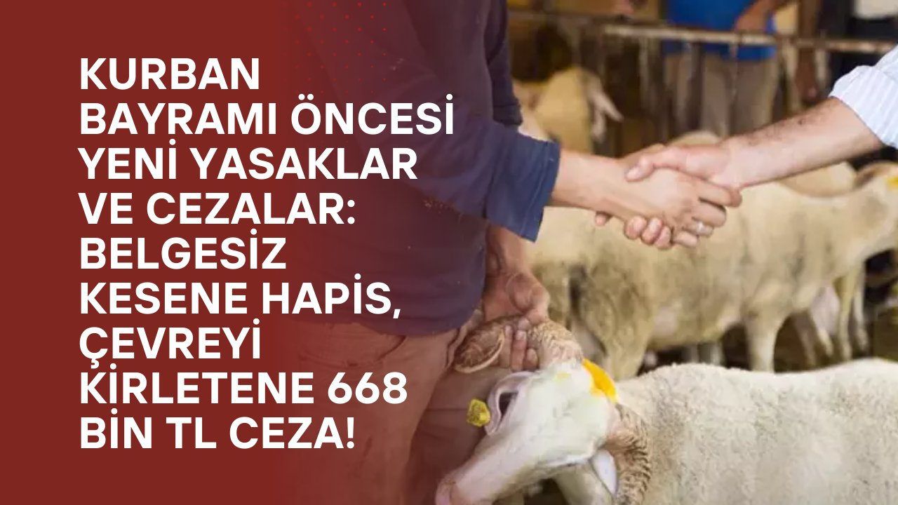 Kurban Bayramı Öncesi Yeni Yasaklar ve Cezalar: Belgesiz Kesene Hapis, Çevreyi Kirletene 668 Bin TL Ceza!