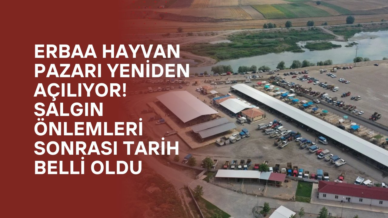 Erbaa Hayvan Pazarı yeniden açılıyor! Salgın önlemleri sonrası tarih belli oldu