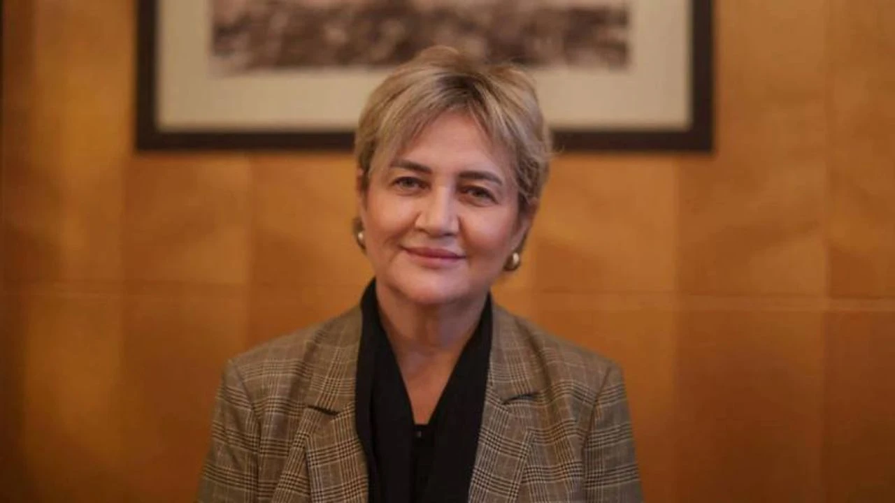 İpek Elif Atayman’dan AYM’ye ikinci başvuru: “Kopyala-yapıştır adalet” tepkisi