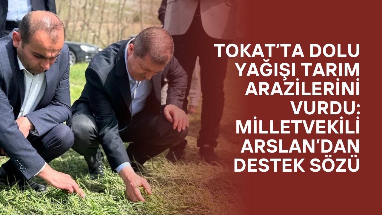 Tokat’ta Dolu Yağışı Tarım Arazilerini Vurdu: Milletvekili Arslan’dan Destek Sözü