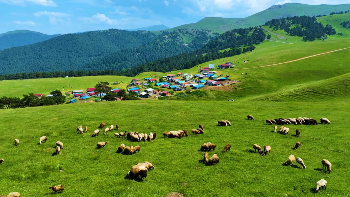 Tokat’ın saklı cenneti Almus belgeselle gün yüzüne çıktı!