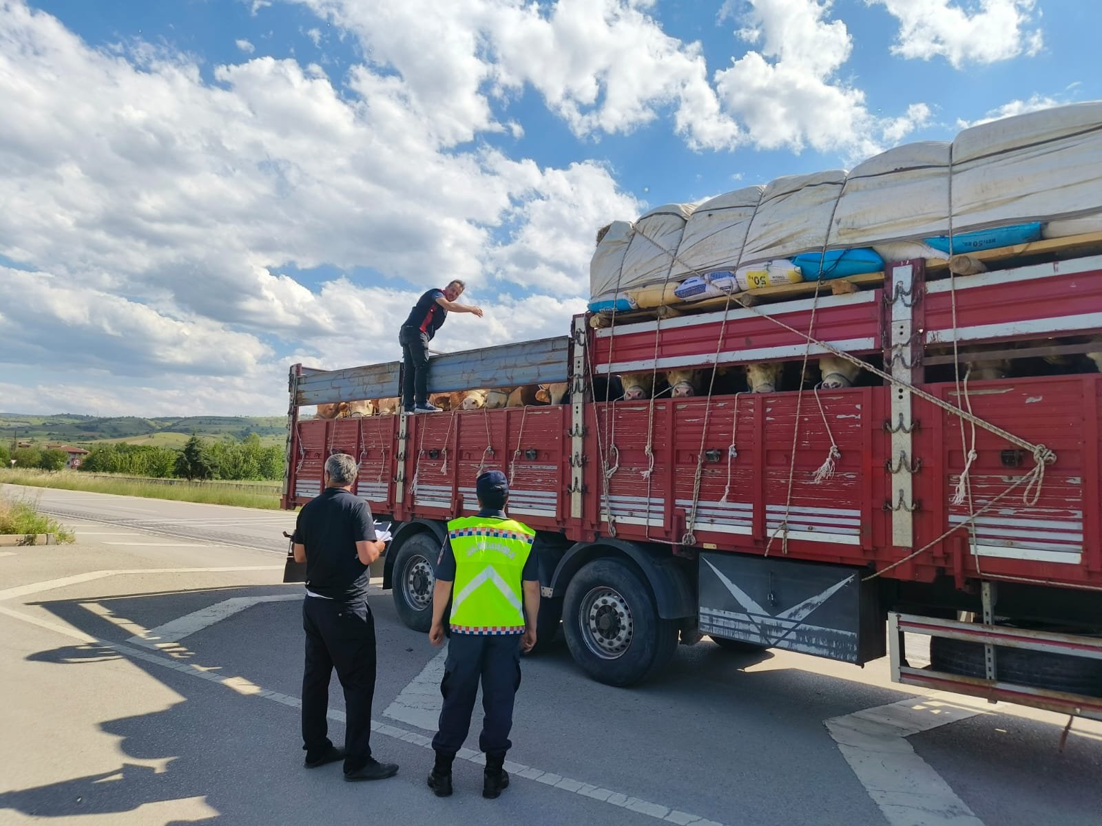 Tokat'ta Kurban Bayramı Öncesi Kaçak Hayvan Denetimleri Sıkılaştırıldı
