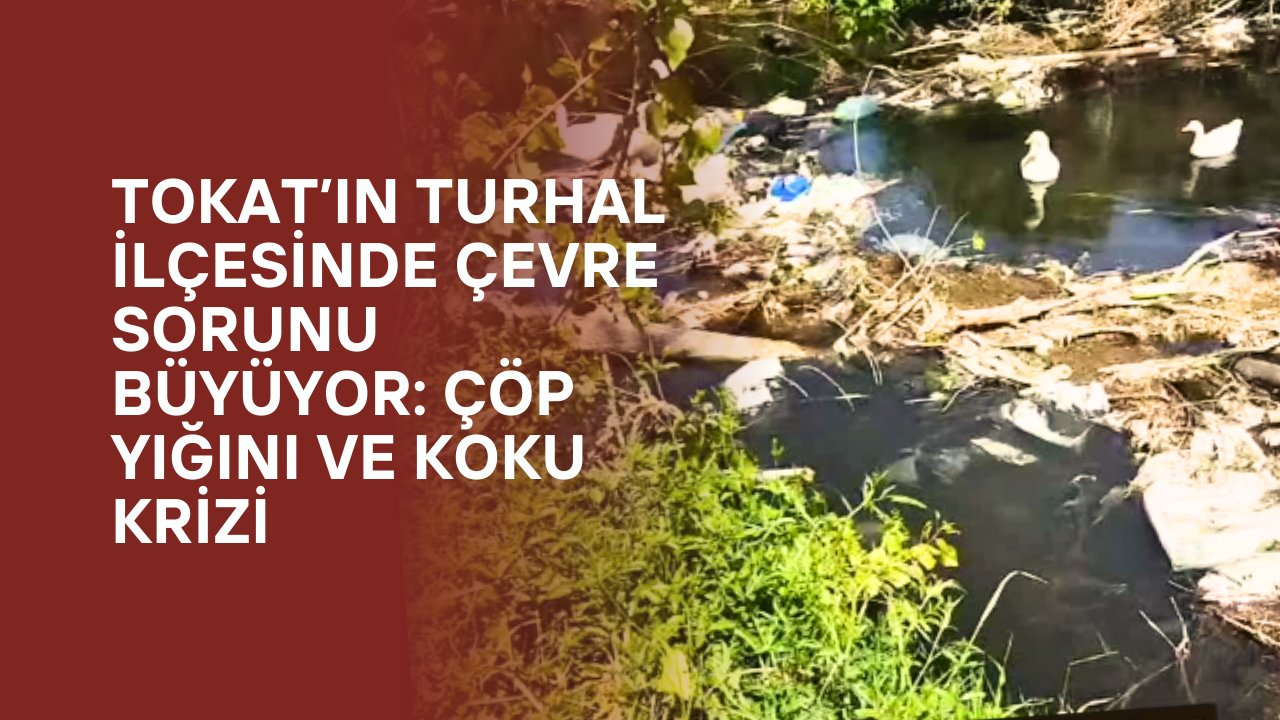 Tokat’ın Turhal İlçesinde Çevre Sorunu Büyüyor: Çöp Yığını ve Koku Krizi