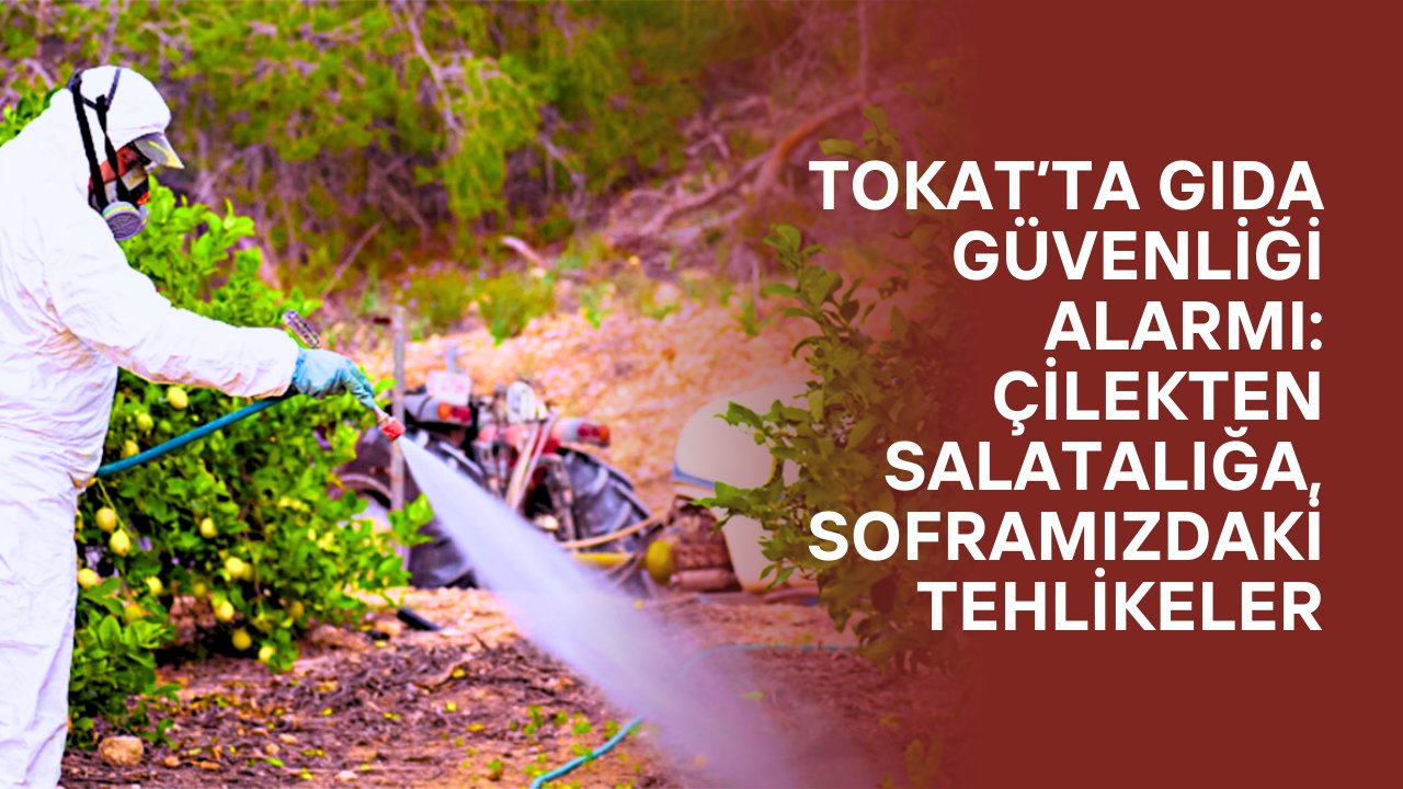 Tokat’ta Gıda Güvenliği Alarmı: Çilekten Salatalığa, Soframızdaki Tehlikeler