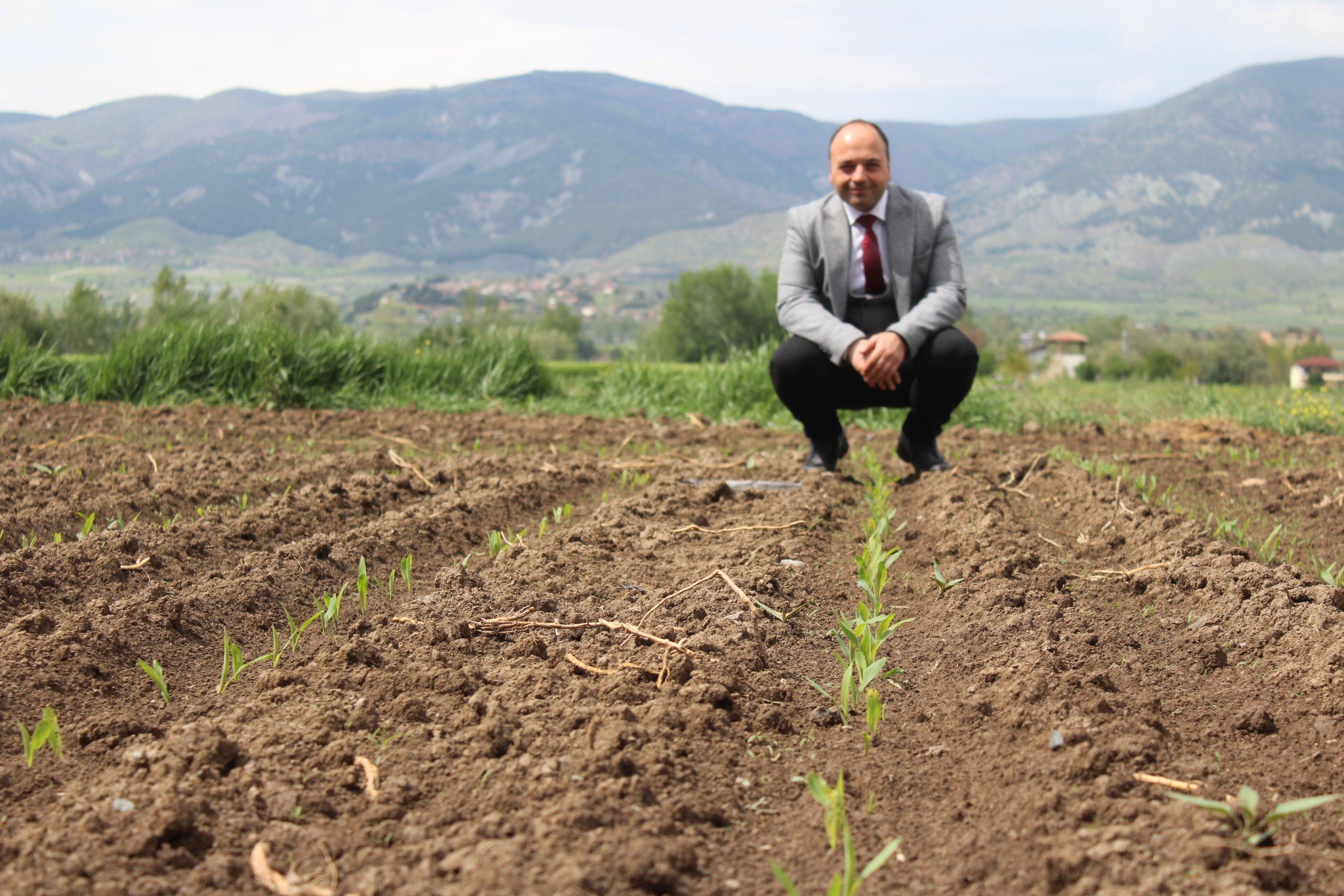 Tokat'ın O İlçesinde Bir İlk! Yerli Tohumlar Toprakla Buluştu, Çiftçinin Yüzü Gülecek!