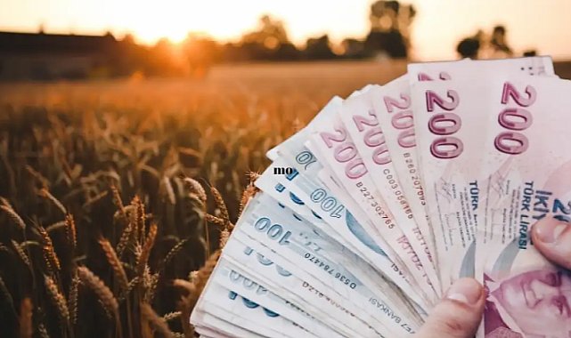 Üreticilere Büyük Destek: TMO Ödemeleri Başladı mı, Hesaplara Ne Kadar Para Yatırıldı?