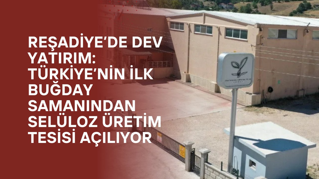 Reşadiye’de Dev Yatırım: Türkiye’nin İlk Buğday Samanından Selüloz Üretim Tesisi Açılıyor