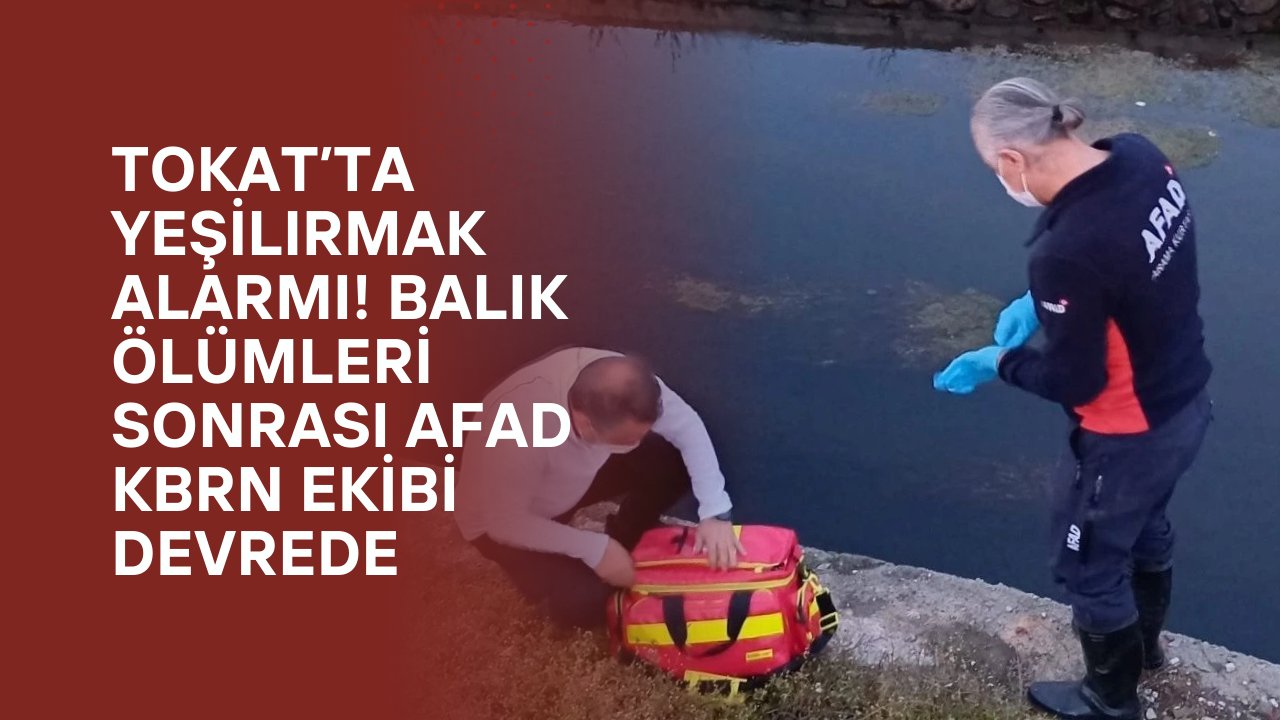 Tokat’ta Yeşilırmak alarmı! Balık ölümleri sonrası AFAD KBRN ekibi devrede