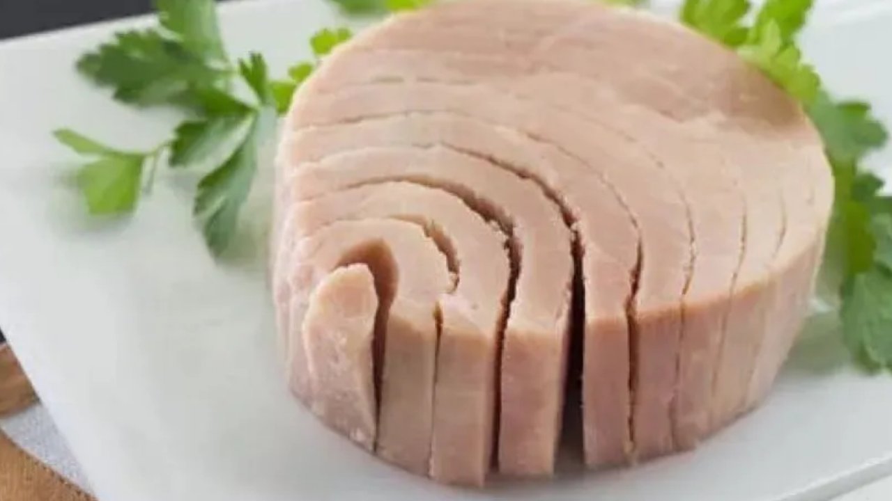 Ton Balığı Sağlıklı mı, Zararlı mı? Uzmanlar Uyarıyor!