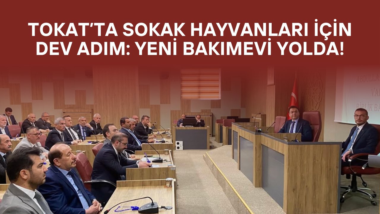 Tokat’ta Sokak Hayvanları İçin Dev Adım: Yeni Bakımevi Yolda!