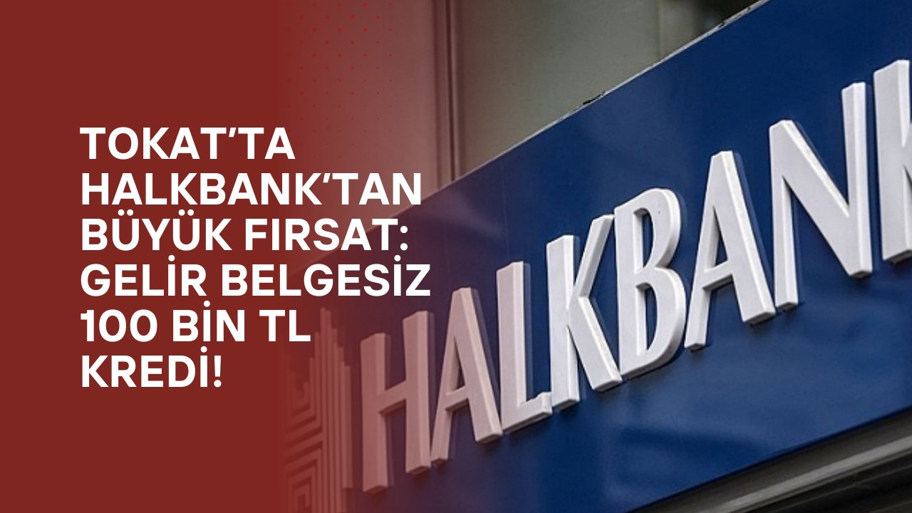 Tokat’ta Halkbank’tan Büyük Fırsat: Gelir Belgesiz 100 Bin TL Kredi!