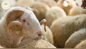 Bölgelere Göre Fiyatlar Değişiyor